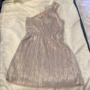 (new) Express Dress